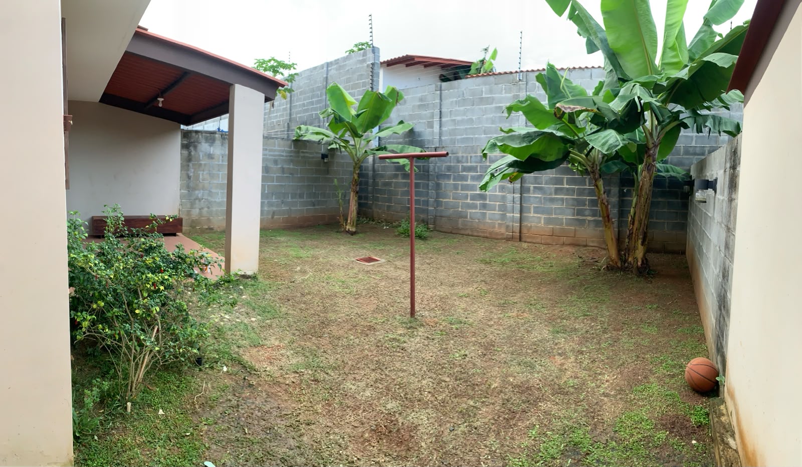 Jardín con césped